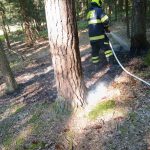 Pondělí ve znamení požárů. Hasiči zasahovali na Táborsku, Budějovicku, Písecku i Strakonicku