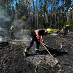 U Ratají na Táborsku hořela louka, oheň se šířil k nedalekému lesu