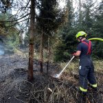 U Ratají na Táborsku hořela louka, oheň se šířil k nedalekému lesu