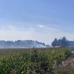 Pondělí ve znamení požárů. Hasiči zasahovali na Táborsku, Budějovicku, Písecku i Strakonicku