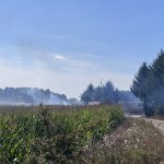 Pondělí ve znamení požárů. Hasiči zasahovali na Táborsku, Budějovicku, Písecku i Strakonicku
