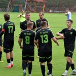 Domácí bída Mirovic pokračuje, Osek nastartoval navrátilec Sebastian Hosnedl