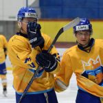 Krále bleskový gól nenastartoval! Cheb rozhodl pět minut před koncem