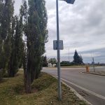 V Písku vybrali firmu, která pokácí topolovou alej ve Zborovského ulici