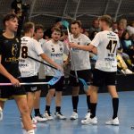 Lišky měly body nadosah, z výhry se ale radoval Hradec