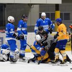 Krále bleskový gól nenastartoval! Cheb rozhodl pět minut před koncem