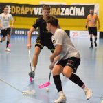 Lišky měly body nadosah, z výhry se ale radoval Hradec