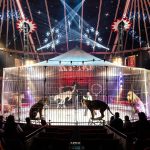 Do Milevska přijel cirkus King. Nabízí tradiční cirkusové umění i vystoupení se zvířaty