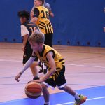 Jihočeské naděje basketu na scéně. Sršni z Písku ovládli premiérový Memoriál Romana Vacha v Táboře