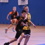 Jihočeské naděje basketu na scéně. Sršni z Písku ovládli premiérový Memoriál Romana Vacha v Táboře