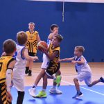 Jihočeské naděje basketu na scéně. Sršni z Písku ovládli premiérový Memoriál Romana Vacha v Táboře