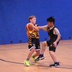 Jihočeské naděje basketu na scéně. Sršni z Písku ovládli premiérový Memoriál Romana Vacha v Táboře