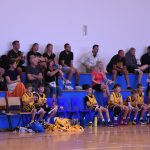 Jihočeské naděje basketu na scéně. Sršni z Písku ovládli premiérový Memoriál Romana Vacha v Táboře