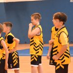 Jihočeské naděje basketu na scéně. Sršni z Písku ovládli premiérový Memoriál Romana Vacha v Táboře