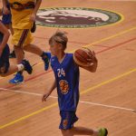 Basketbalové derby ovládla strakonická děvčata, chlapci padli i s Lions