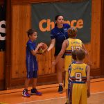 Basketbalové derby ovládla strakonická děvčata, chlapci padli i s Lions