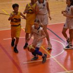 Basketbalové derby ovládla strakonická děvčata, chlapci padli i s Lions