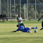 Kohout přemohl sokola, Hoštice poprvé doma bez bodu