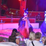 Do Milevska přijel cirkus King. Nabízí tradiční cirkusové umění i vystoupení se zvířaty