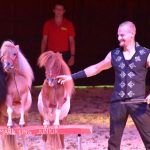 Do Milevska přijel cirkus King. Nabízí tradiční cirkusové umění i vystoupení se zvířaty