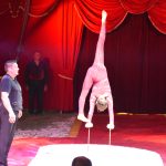 Do Milevska přijel cirkus King. Nabízí tradiční cirkusové umění i vystoupení se zvířaty