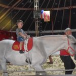 Do Milevska přijel cirkus King. Nabízí tradiční cirkusové umění i vystoupení se zvířaty