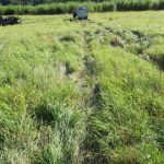 Policie hledá svědky vážné nehody na Prachaticku. Došlo k ní při předjíždění