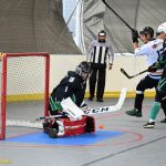 VIDEO: Plánští hokejbalisté rozstříleli Pedagog dvanácti góly. Gärtner připsal osm asistencí, Trčka hattrick