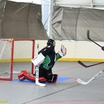 VIDEO: Plánští hokejbalisté rozstříleli Pedagog dvanácti góly. Gärtner připsal osm asistencí, Trčka hattrick