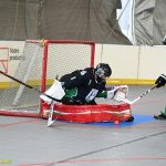 VIDEO: Plánští hokejbalisté rozstříleli Pedagog dvanácti góly. Gärtner připsal osm asistencí, Trčka hattrick