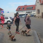 V Sepekově mají nový pochod. Bude i do budoucna pomáhat