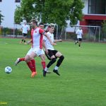 VIDEA: Veselská Lokomotiva poprvé v sezoně prohrála. Budějovická Slavia ji nepustila na čelo soutěže