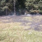 Hasiče na Jindřichohradecku aktuálně zaměstnává požár hrabanky a trávy