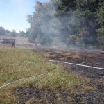 Hasiče na Jindřichohradecku aktuálně zaměstnává požár hrabanky a trávy
