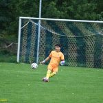 VIDEO: Sokolové ze Sezimova Ústí po více než měsíci bodovali. Remízu 2:2 zařídil v závěru utkání proti Třeboni Fuley
