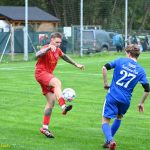 VIDEO: Sokolové ze Sezimova Ústí po více než měsíci bodovali. Remízu 2:2 zařídil v závěru utkání proti Třeboni Fuley