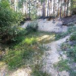 Obnova tůní a písčin v jihočeských pískovnách byla úspěšná