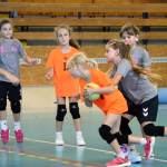 Házenkářská omladina v Milevsku vstoupila do přelomové sezony