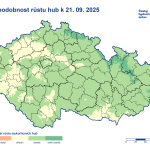 Rostou! Na houby byste mohli na jihu Čech chodit s kosou