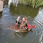 Nájezd Vikingů na Putim se málem nezdařil, nakonec svou trofej ukořistili