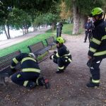 U dětského hřiště v Táboře se zabydlely vosy. Podzemní hnízdo likvidovali hasiči