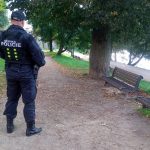 U dětského hřiště v Táboře se zabydlely vosy. Podzemní hnízdo likvidovali hasiči