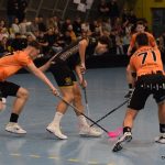 Písecké Lišky se statečně rvaly, ale na exsuperligové Buldoky nestačily