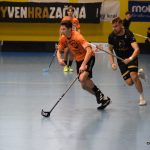 Písecké Lišky se statečně rvaly, ale na exsuperligové Buldoky nestačily