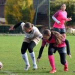 Větrné utkání zvládly lépe Hradišťanky, Plzeň odjela s prázdnou