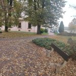 Lavičky. Kdo se o ně v Táboře stará a proč zmizely od Tabačky?