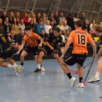 Písecké Lišky se statečně rvaly, ale na exsuperligové Buldoky nestačily