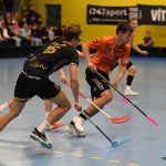 Písecké Lišky se statečně rvaly, ale na exsuperligové Buldoky nestačily