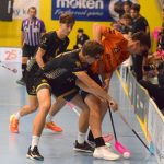 Písecké Lišky se statečně rvaly, ale na exsuperligové Buldoky nestačily