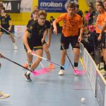 Písecké Lišky se statečně rvaly, ale na exsuperligové Buldoky nestačily